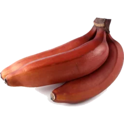 Red Banana from Ecuador